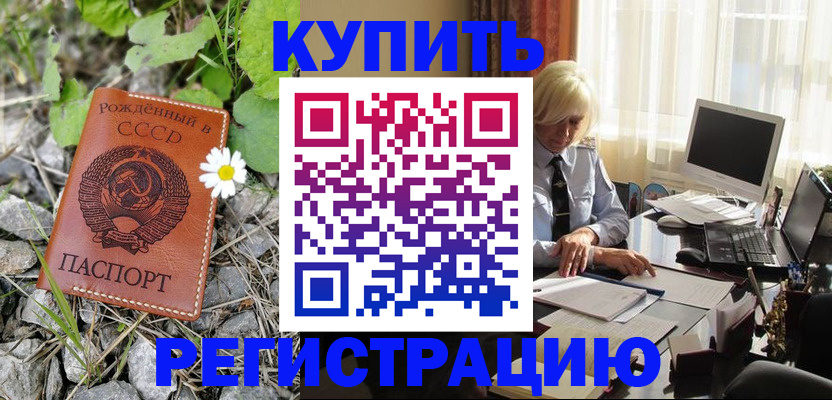 временная регистрация поиск в Заринске